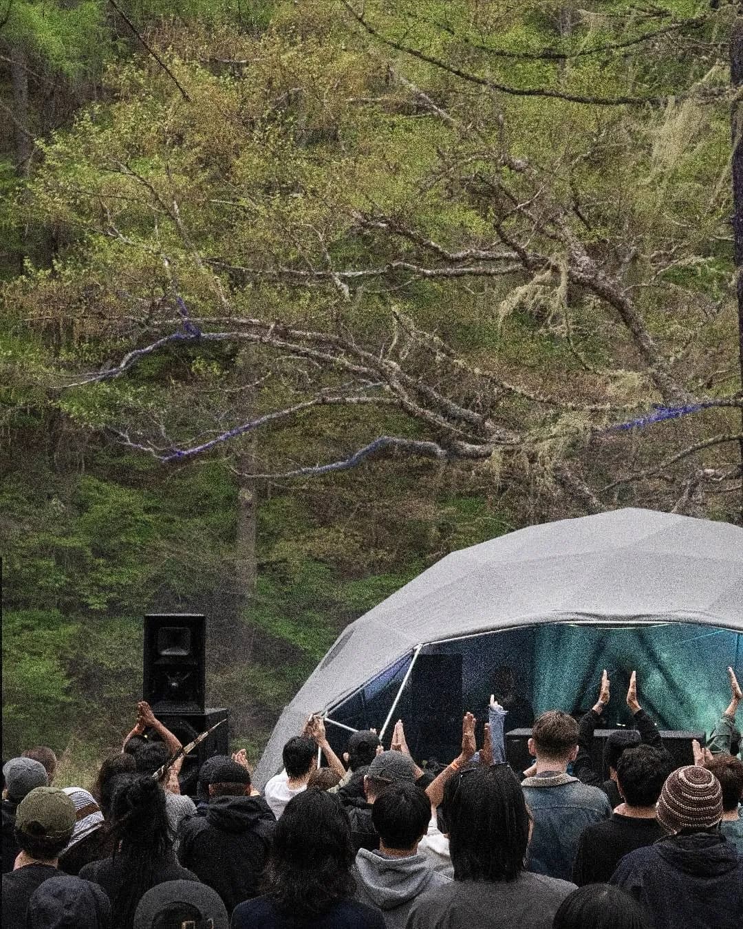 When was the last time music made you feel like this? This is what it looks like when the music takes over. 