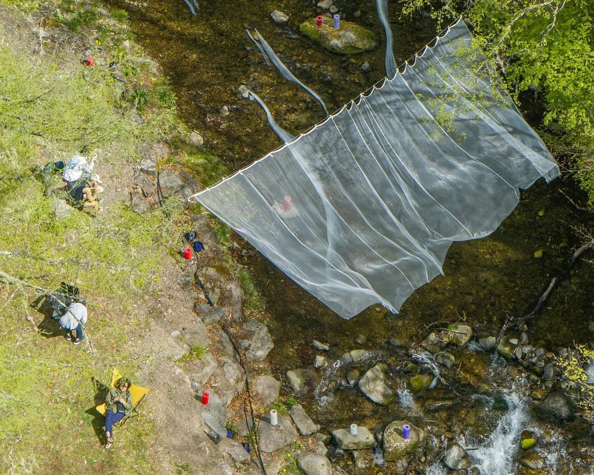 This is not a festival. It is a feeling you can only find in one place. Choja no Mori, Nagano.