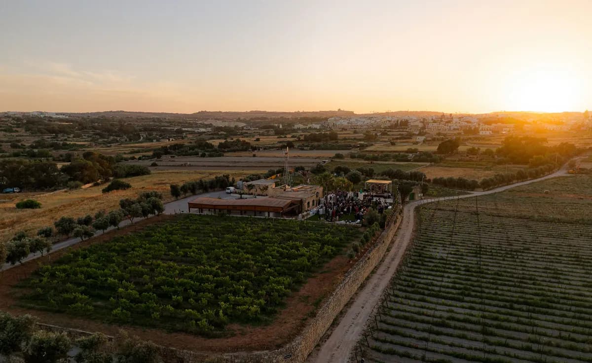 A vineyard. House music. Malta in May. Maria Rosa Estate is one of the newest additions to Sunny Side Festival 2026 and we are not complaining.
