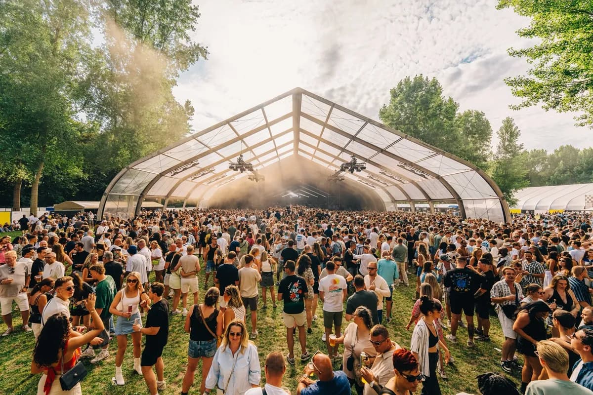 The forest does not look like this on a normal Saturday.