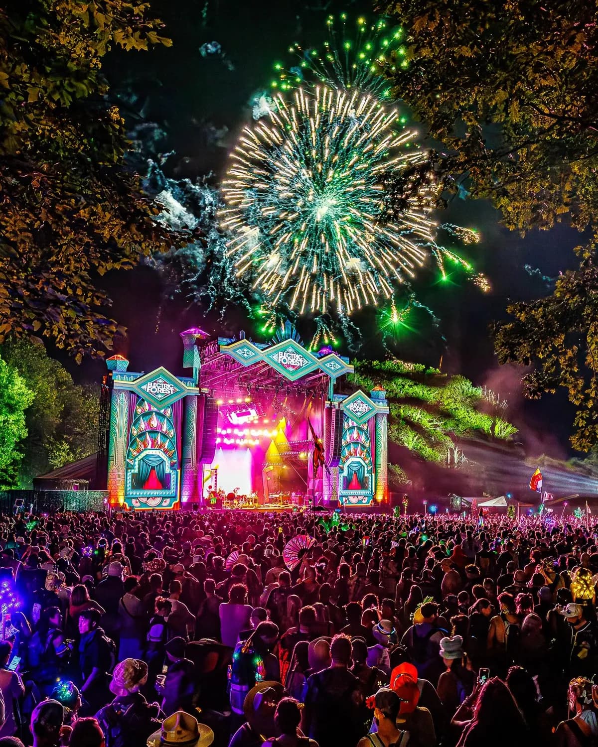 Article cover: Electric Forest 2026: Tech House Magic Lights Up Sherwood Forest