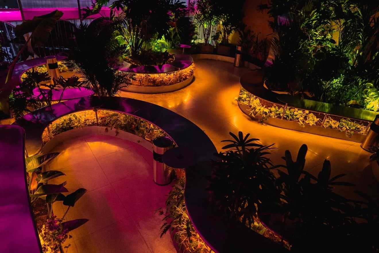Planters and low lighting along The Observatory's terrace level.
