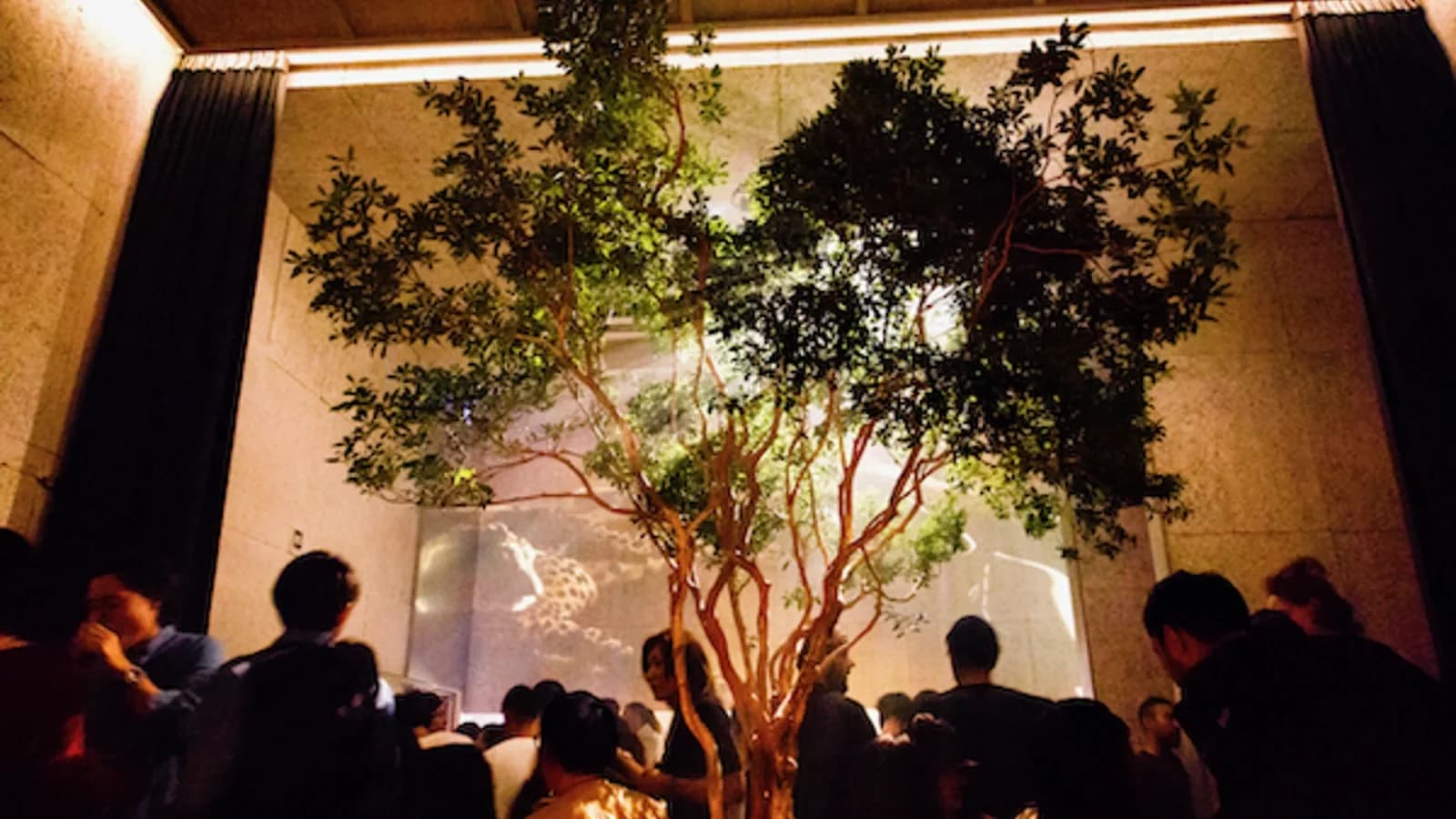 Vent's entrance hall, built around a full-grown tree rather than a coat check.