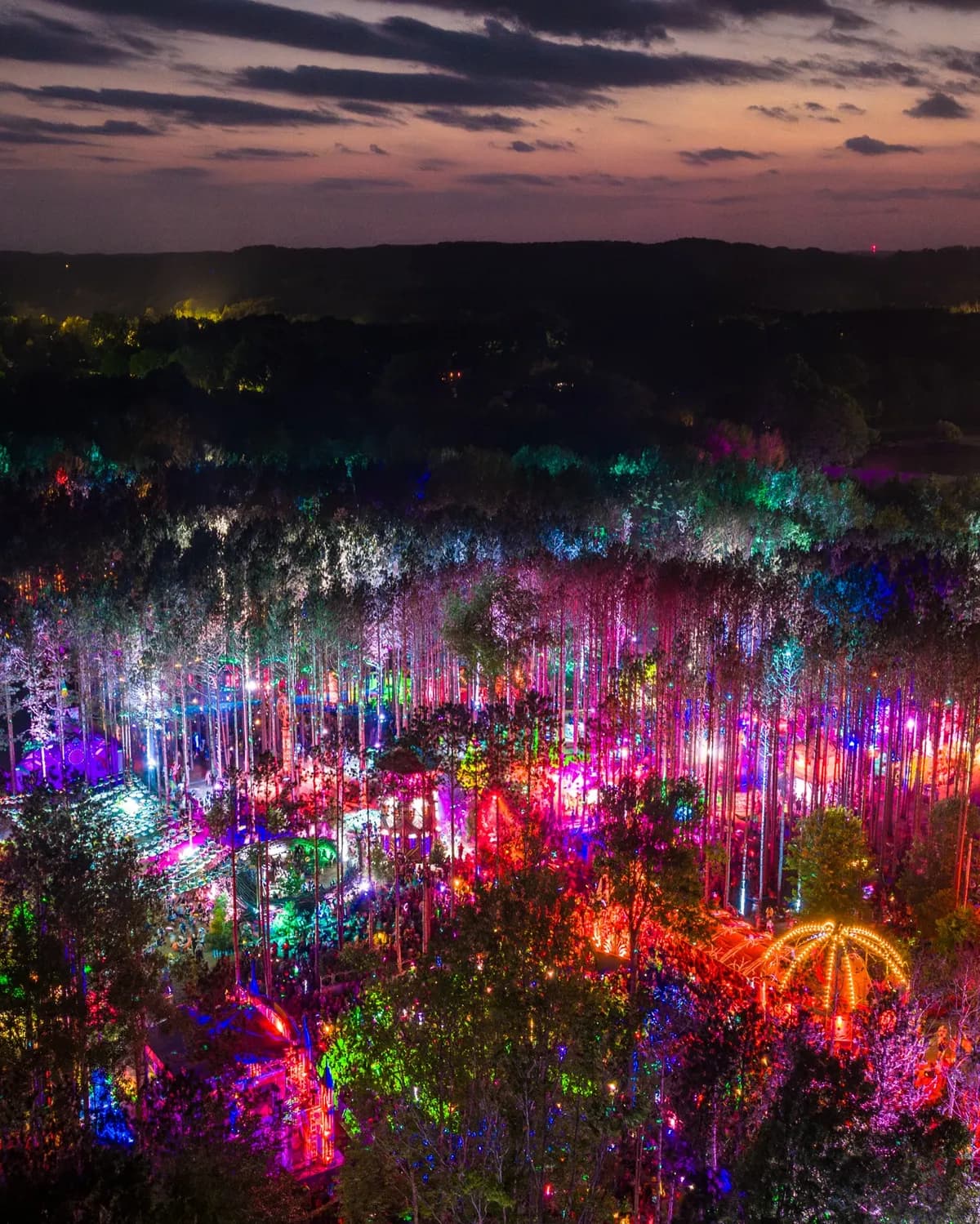 No map. No signs. Just lights in the trees and a set you can hear but can't find. Welcome to Sherwood.